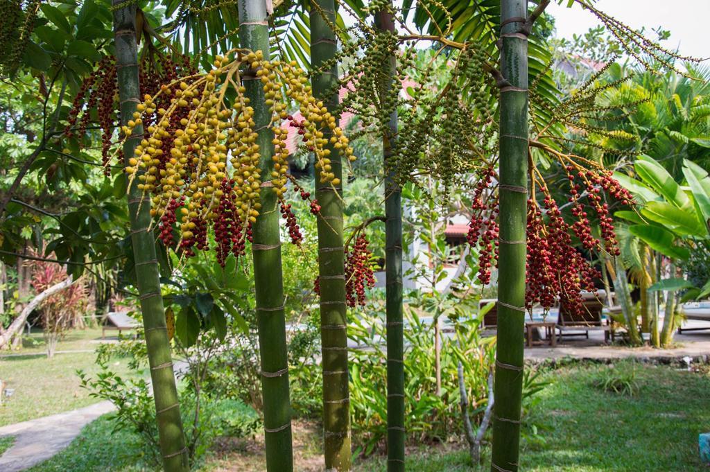 Le Flamboyant Resort Kep Kültér fotó