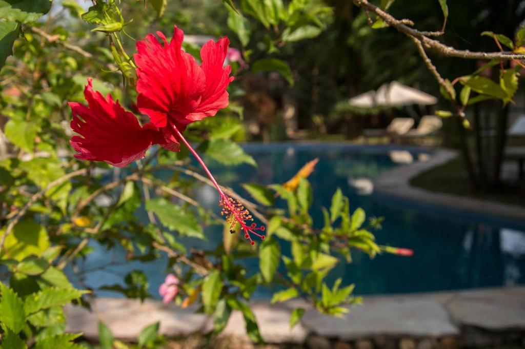 Le Flamboyant Resort Kep Kültér fotó
